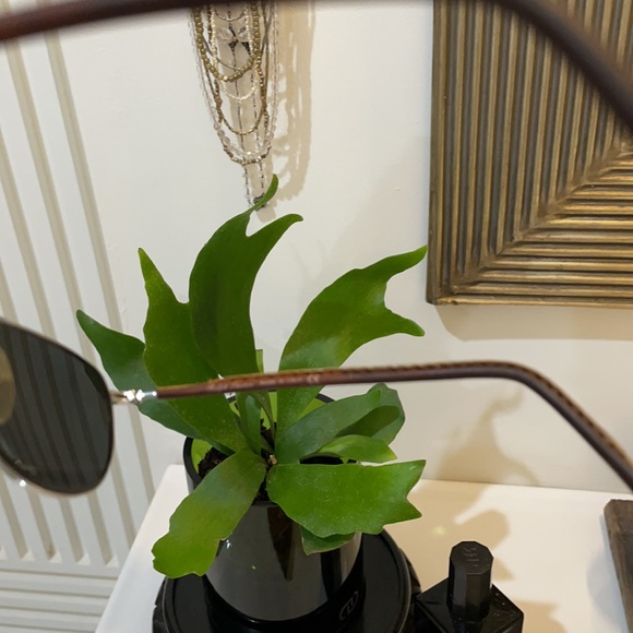 Ralph Lauren Aviators leather sides 51 14 140 - Picture 6 of 9